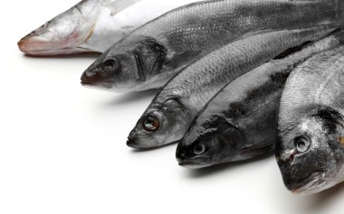 Beyazlar üzerinde taze balık.