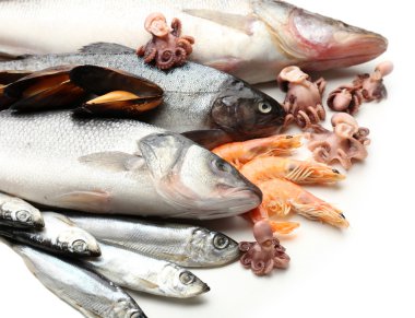 Fresh catch of fish