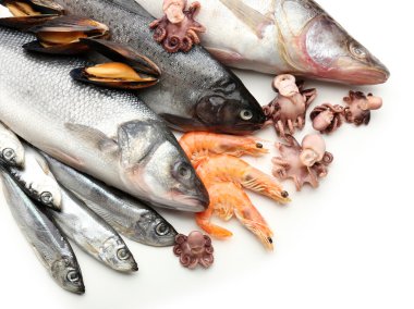 Fresh catch of fish