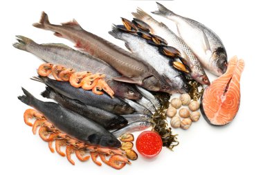 Fresh catch of fish