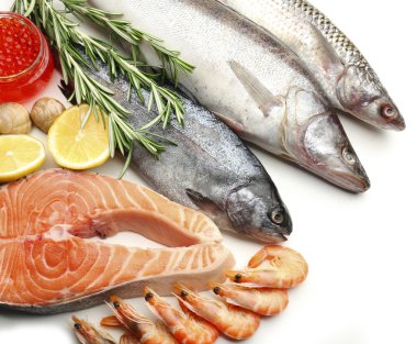 Fresh catch of fish