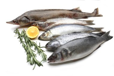 Limon ve biberiye beyaz izole taze balık