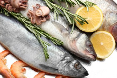 Fresh catch of fish