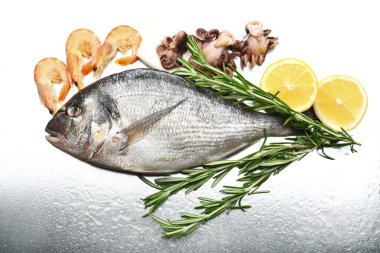 Taze balık ve diğer deniz ürünleri ile limon yakın çekim