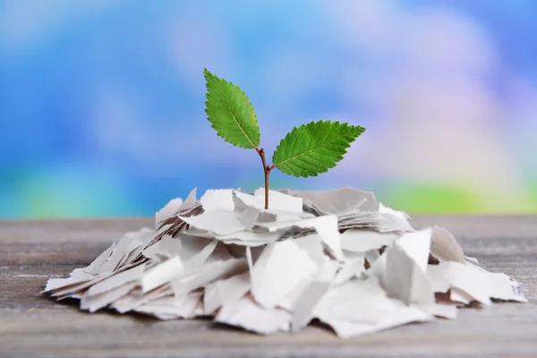 Plant groeit van papier op tafel op lichte achtergrond — Stockfoto