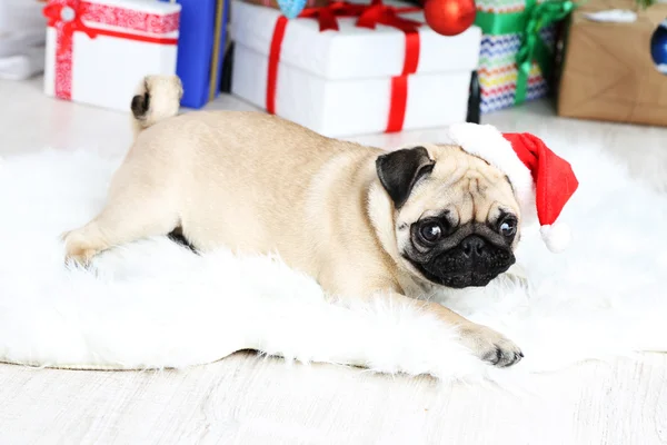 Komik, şirin ve oynak pug köpek ışık arka plan üzerinde beyaz halı üzerinde — Stok fotoğraf