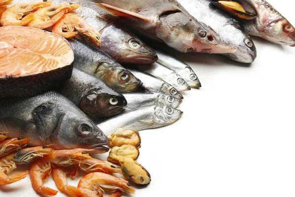 Pesca fresca di pesce — Foto Stock