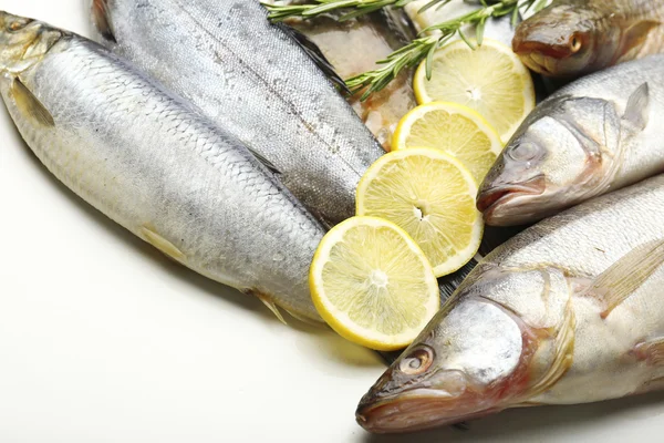 Färsk fisk med citron och rosmarin närbild — Stockfoto