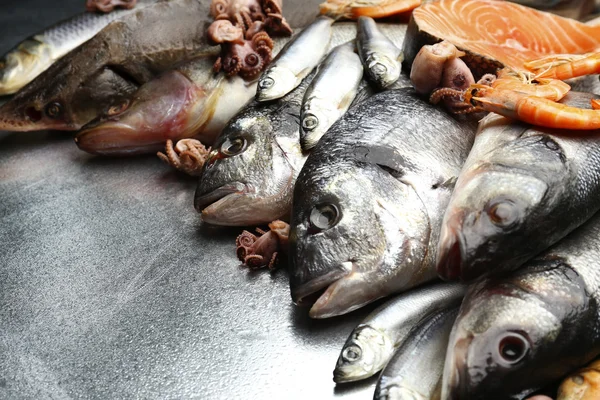 Свежий улов рыбы — стоковое фото