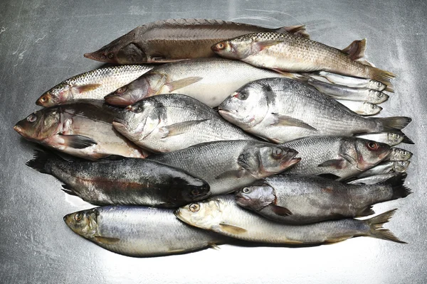 Capturas frescas de peixes — Fotografia de Stock