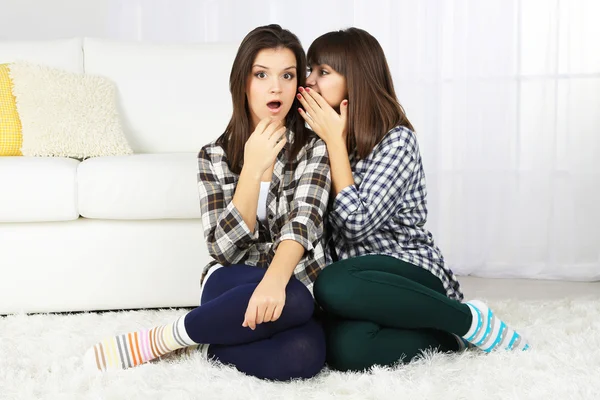 Beautiful girls twins at home — Stock Photo, Image