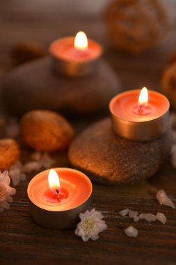 Spa tedavisinin bileşimi