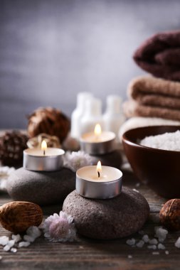 Spa tedavisinin bileşimi