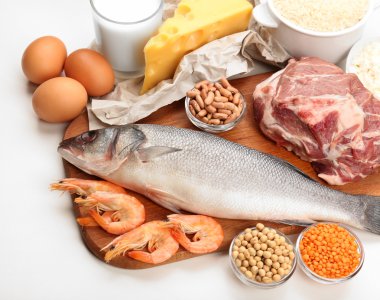 Gıda protein yüksek
