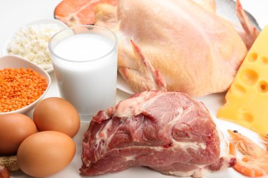 Gıda protein yüksek
