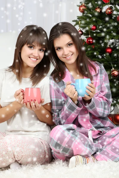 Mooie jonge zusters tweeling. Kerstmis en Nieuwjaar — Stockfoto