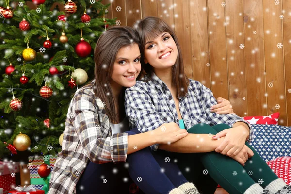Beautiful young sisters twins. Christmas and New Year — Stock Photo, Image