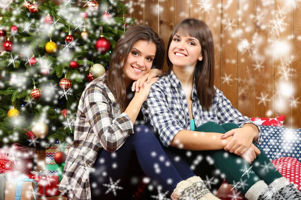 美しい若い姉妹の双子。クリスマスと新年 — ストック写真