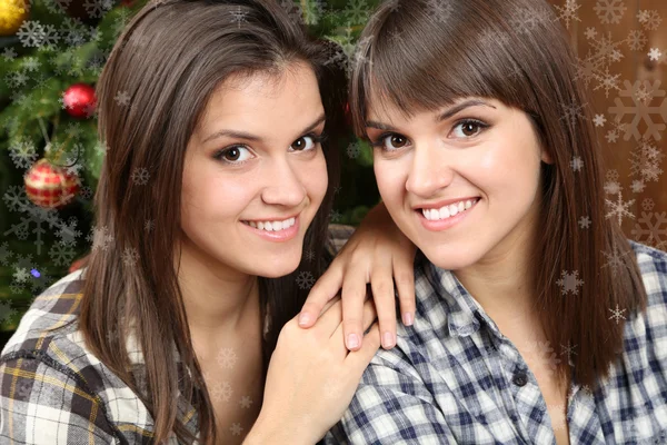 Belles jeunes sœurs jumelles. Noël et Nouvel An — Photo