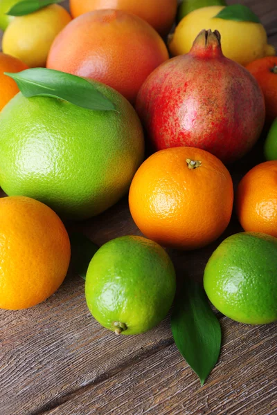 Mogen citrus med gröna blad — Stockfoto