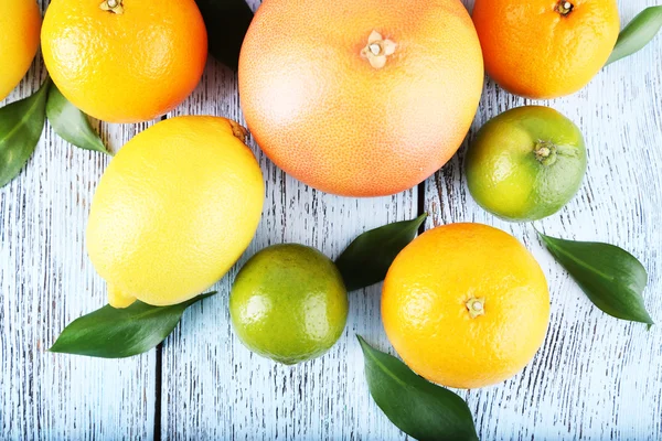 緑の葉と熟した柑橘類 — ストック写真