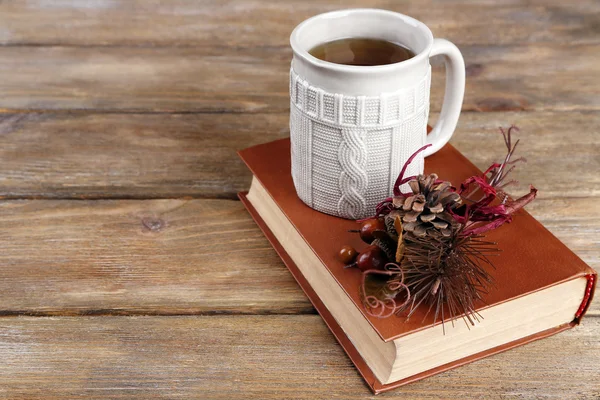 Tazza di tè con libro — Foto Stock