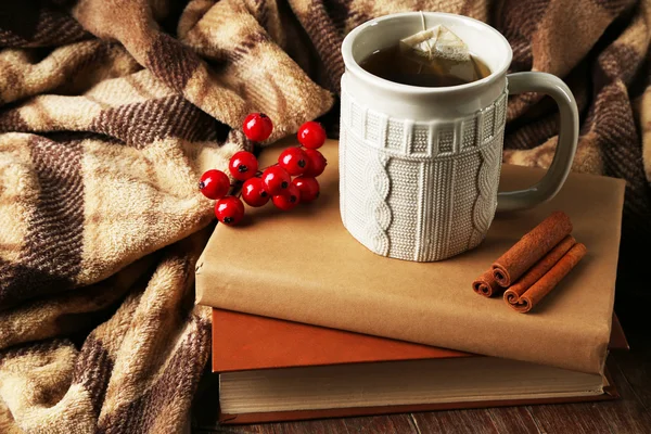 Šálek čaje s knihou — Stock fotografie