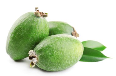 Fayjoa beyaz üzerine izole 