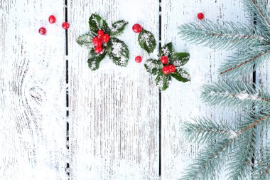 Çilek ile Avrupa Holly