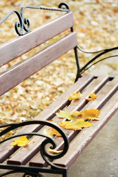 Herfstbladeren op houten bankje in het park — Stockfoto