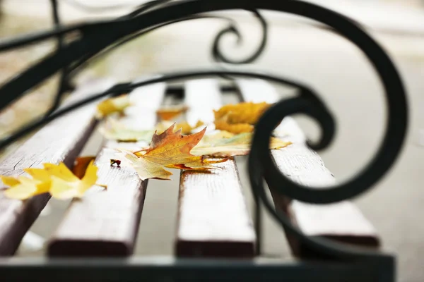 Herfstbladeren op houten bankje in het park — Stockfoto