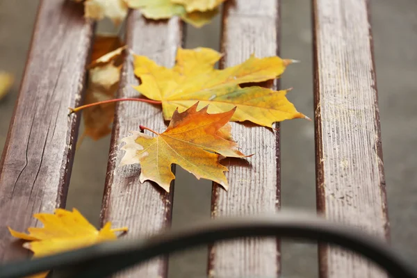 Foglie di autunno su panchina di legno a parco — Foto Stock