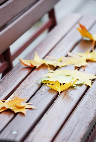 Foglie di autunno su panchina di legno a parco — Foto Stock