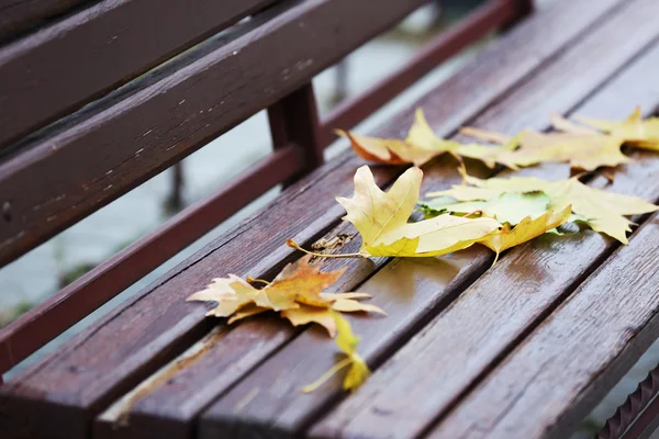 Park ahşap bankta sonbahar yaprakları — Stok fotoğraf