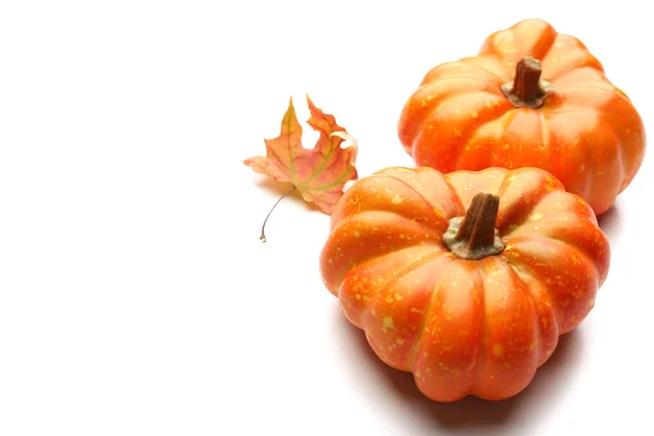 Ripe pumpkin isolated on white — Stock Photo, Image