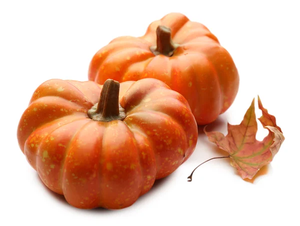 Calabaza madura aislada en blanco — Foto de Stock