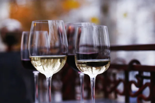 Şarap tatma içinde bar — Stok fotoğraf