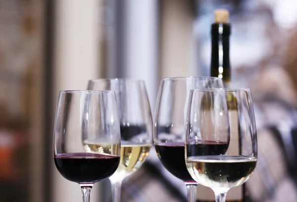 Дегустация вин в баре — стоковое фото