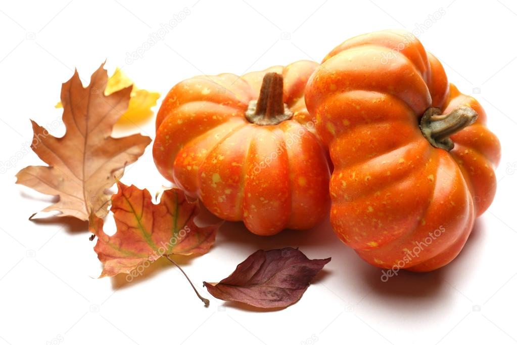 Ripe pumpkin isolated on white