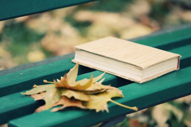 sonbahar yaprakları ile kitap