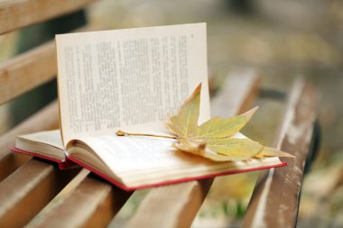 Yaprak ile açık kitap