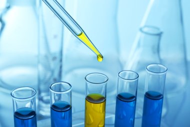 Pipet birine birkaç test tüpleri açık renkli şişeler ile sarı sıvı ekleme