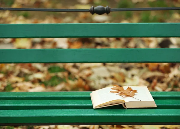 Livro aberto com folha — Fotografia de Stock