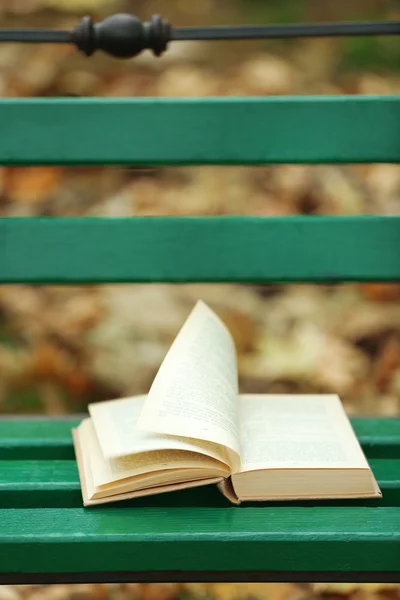 Open book with leaf — Stock Photo, Image