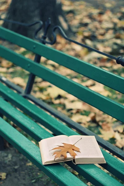 Otwórz książkę z liści — Zdjęcie stockowe