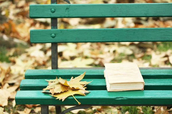 Book with autumn leaves — Stock Photo, Image