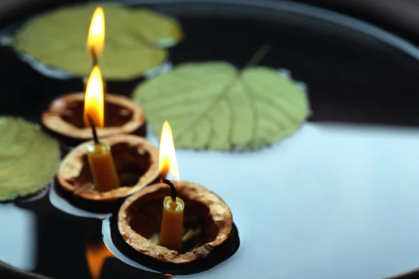 Hojas y tres conchas de nuez — Foto de Stock