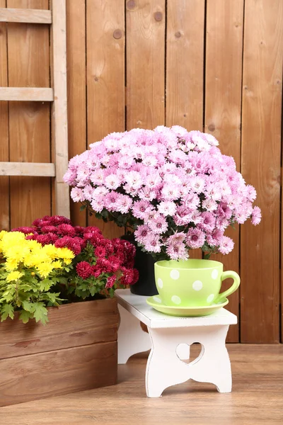 Buisson de chrysanthème dans des boîtes en bois — Photo