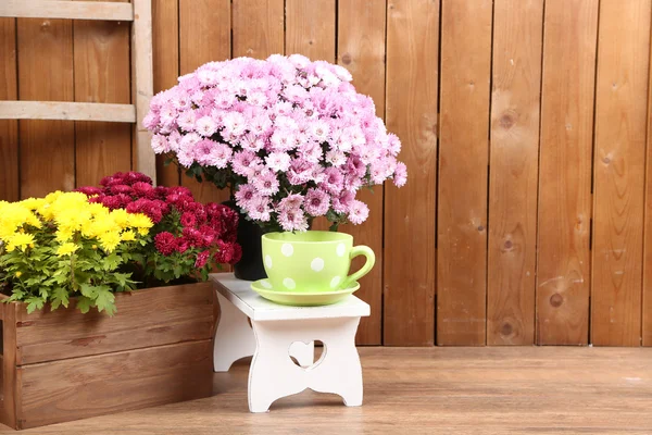 Buisson de chrysanthème dans des boîtes en bois — Photo