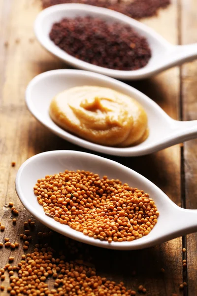 Mustard seeds, powder and sauce — Stock Photo, Image